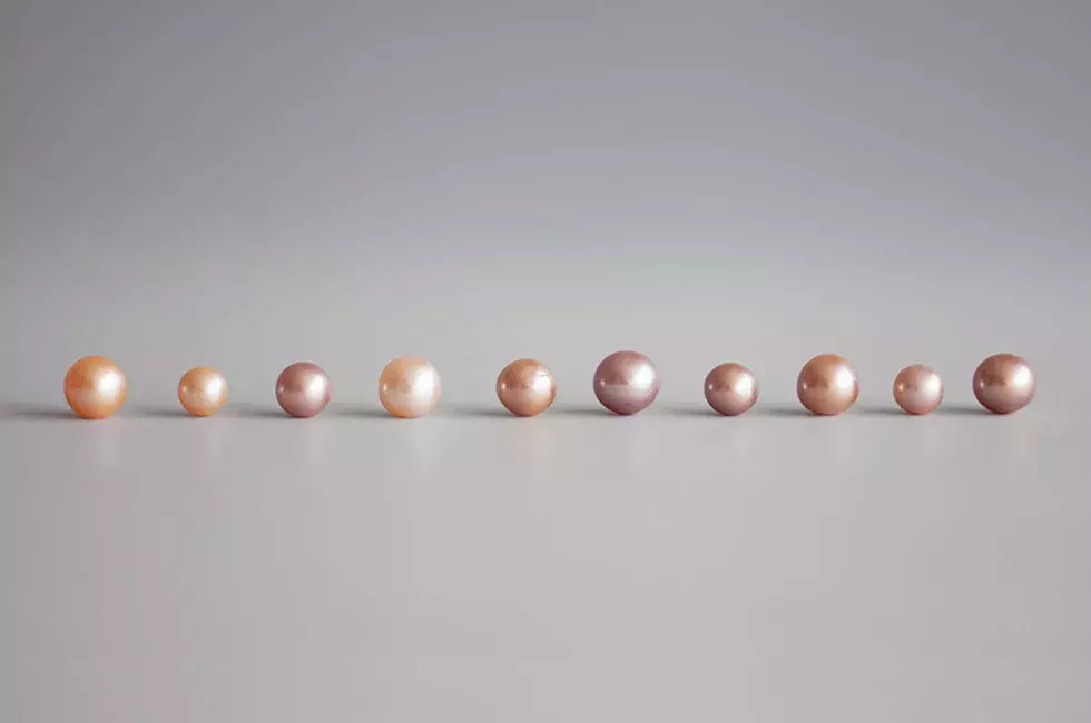 Biwako Pearls