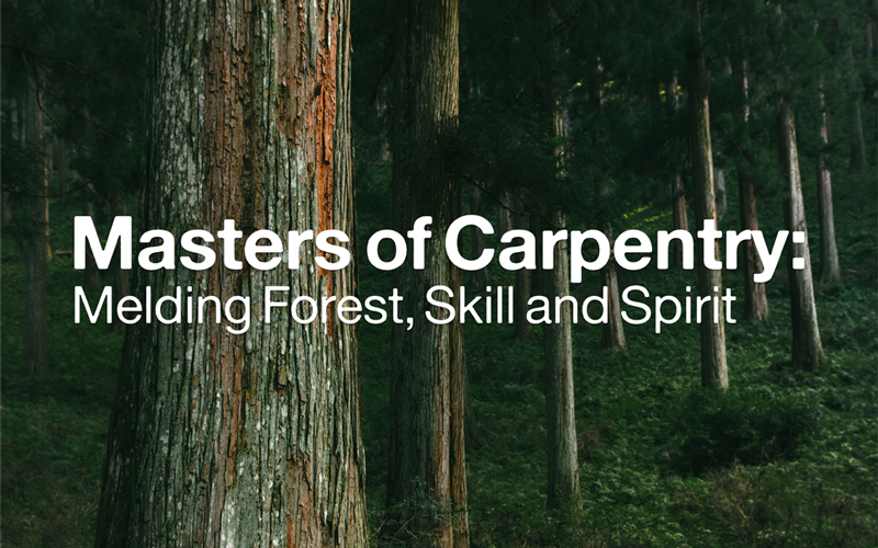 “Masters of Carpentry: Melding Forest, Skill and Spirit” exhibition logo on a closeup of trees in a forest