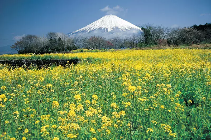 Japanese for Travel Workshop